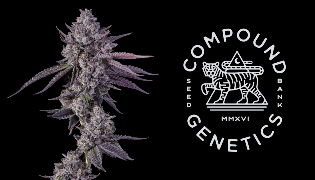Compound Genetics
